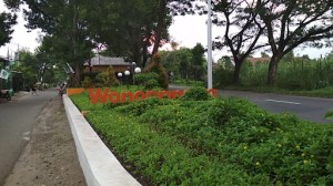 Taman Wonopringgo
