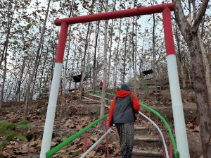 Wana Wisata Mingging