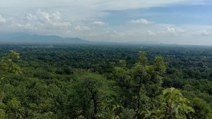 bukit samboja