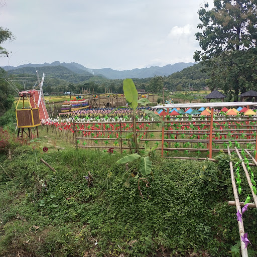 Selawang