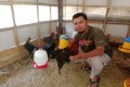 Peternakan Ayam Kampung Joper Ayam Berkah Ibu