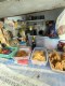 Sego soto ayam kampung