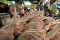 Jual ayam potong dan ayam kampung bu sudarti