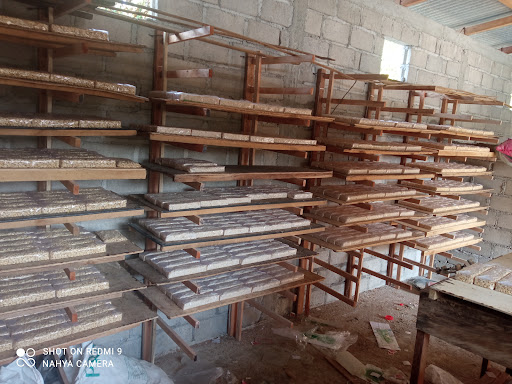 Pabrik tempe rizquna
