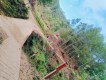 Sungai Ngglebekan