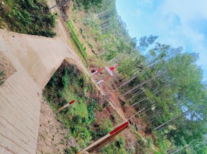 Sungai Ngglebekan