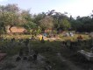 Makam Suminten Edan