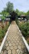Makam Kyai Muhammad Ishaq Coper Ponorogo