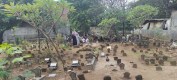 Makam Ndoro Mangunsuman