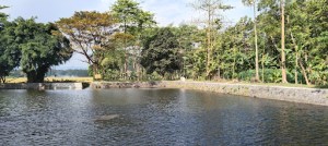 Sumber Beji Cangkring