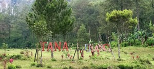 Tanah Goyang