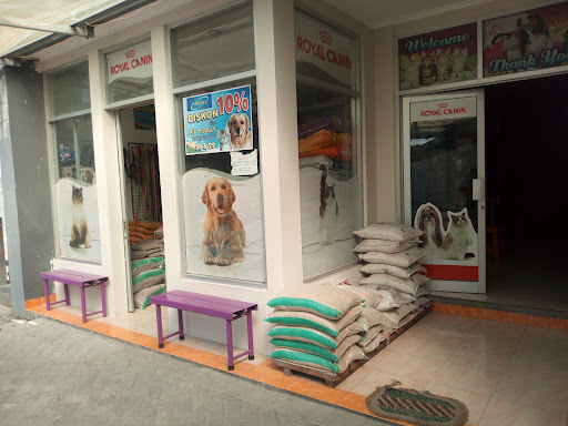 Praktek Dokter Hewan & Petshop Amelys