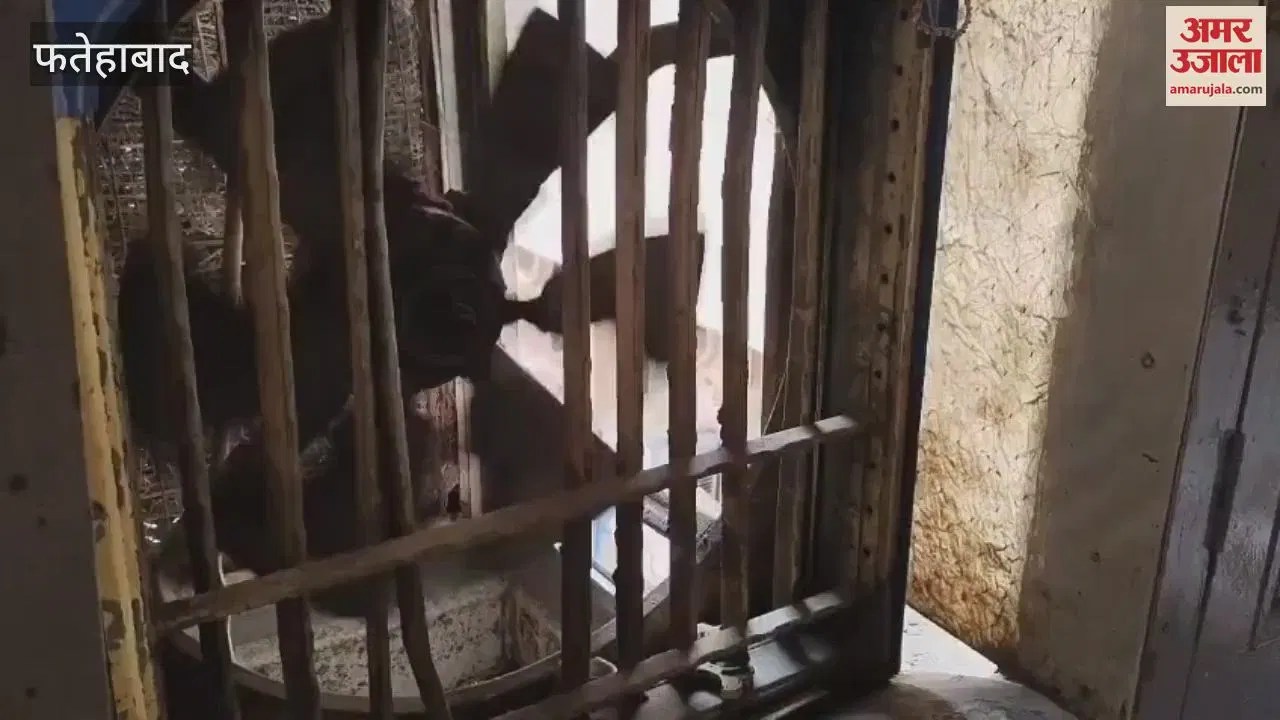 फतेहाबाद के सरकारी अस्पताल में डॉक्टर खा रहे ठंडी हवा, जच्चा-बच्चा को गर्मी की सजा  Haryana Circle News