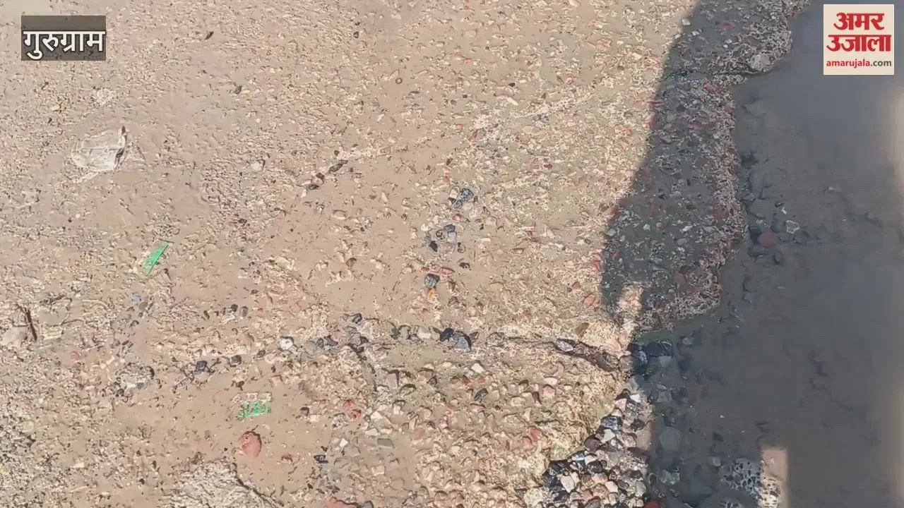 गुरुग्राम: धनकोट गांव में पाइप फटने से सड़क कीचड़ में तब्दील, लोग परेशान  Latest Haryana News