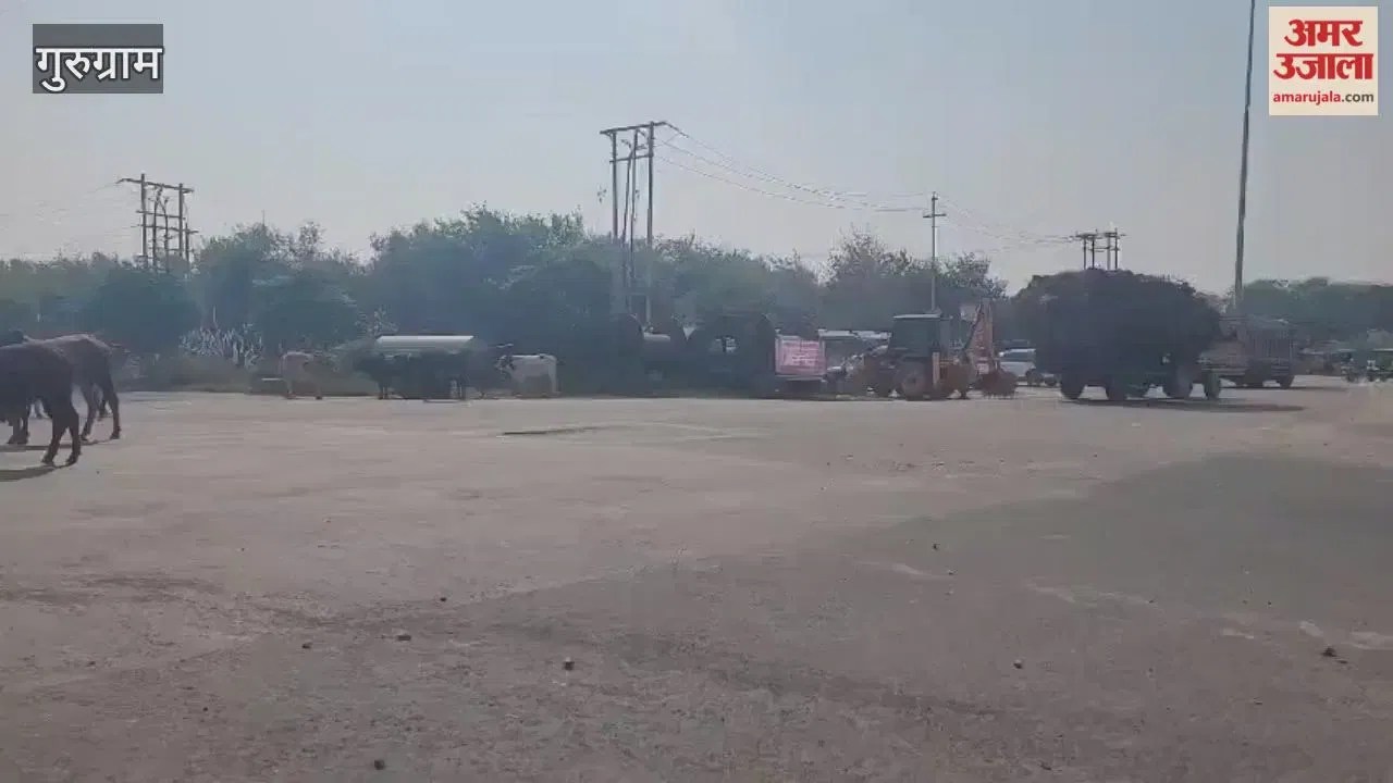 गुरुग्राम-पटौदी-रेवाड़ी हाईवे शुरू करने में पहाड़ी आरओबी बनी बाधा  Latest Haryana News