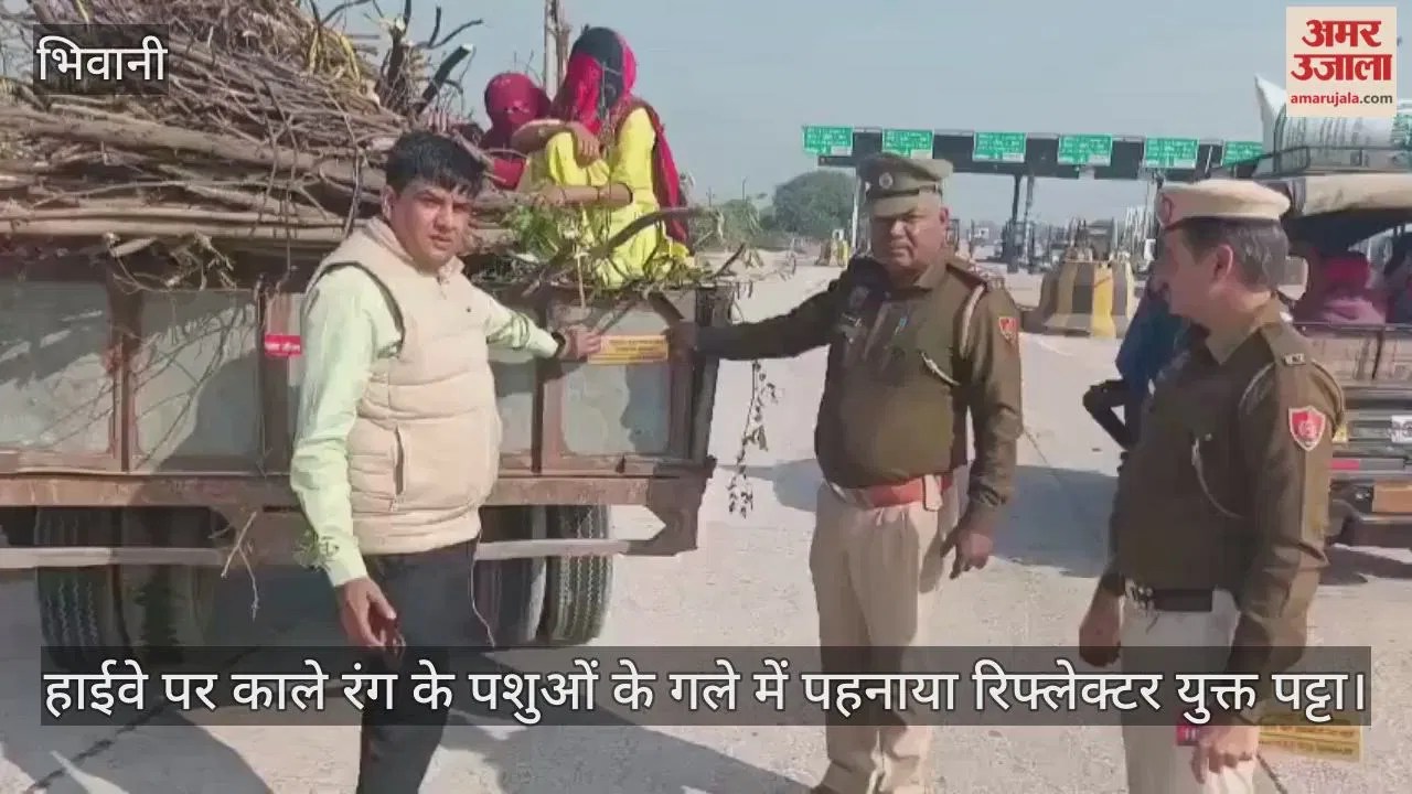 भिवानी: ट्रैफिक पुलिस और आरटीए की संयुक्त टीम ने शुरू किया हाईवे पर लावारिस पशुओं व वाहनों को रिफ्लेक्टर लगाने का अभियान Latest Haryana News