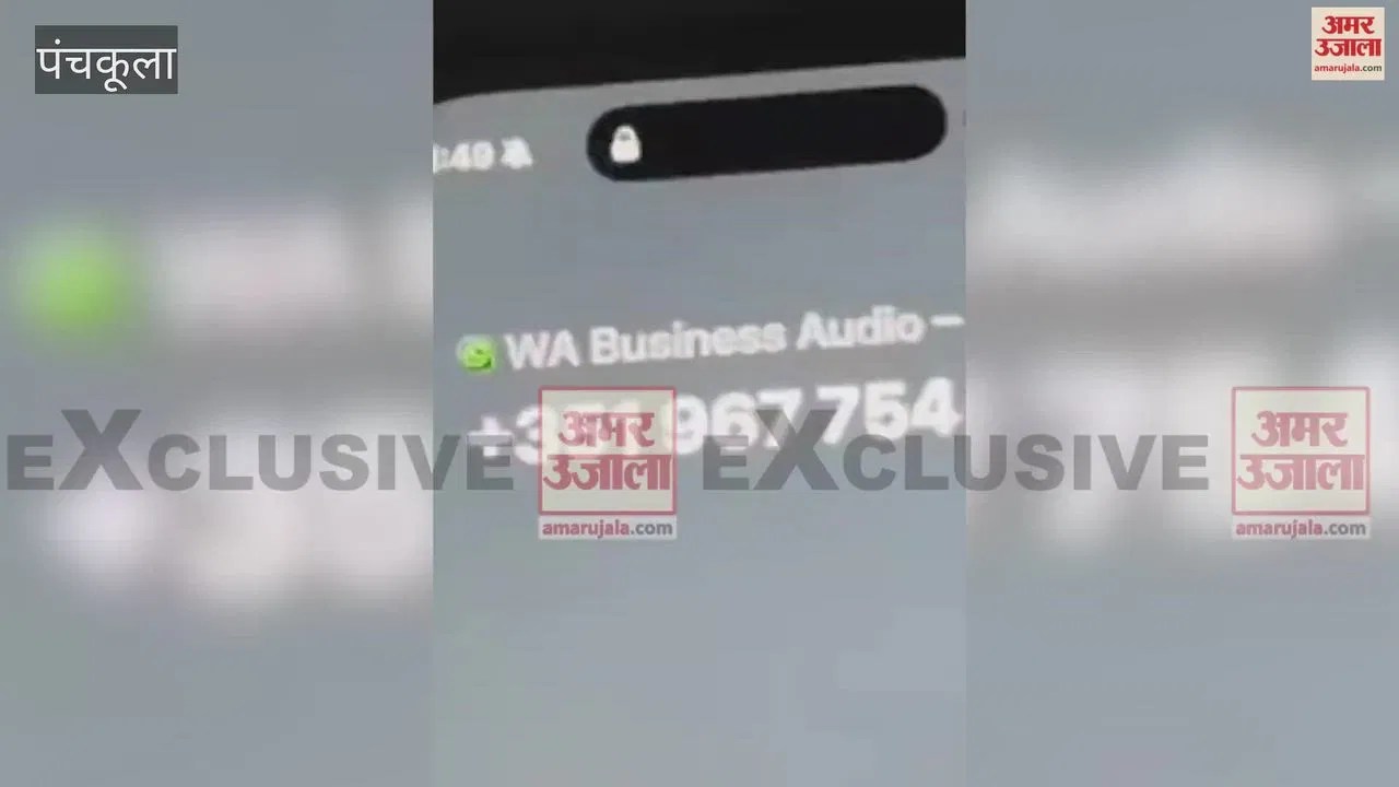Crime- पंचकूला सेक्टर-5 क्लब के बाहर ताबड़तोड़ फायरिंग में दो घायल -#INA