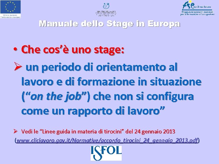Il Nuovo Manuale Dello Stage In Europa Ginevra 540_x_720_jpg