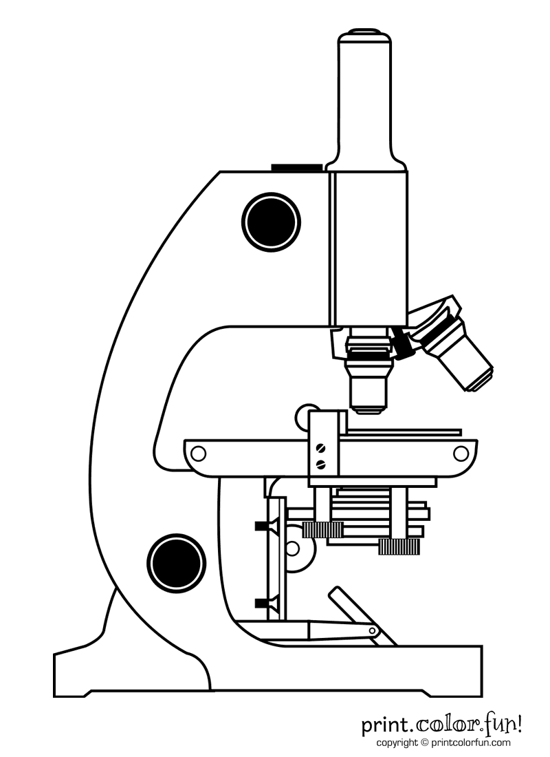 microscope coloring