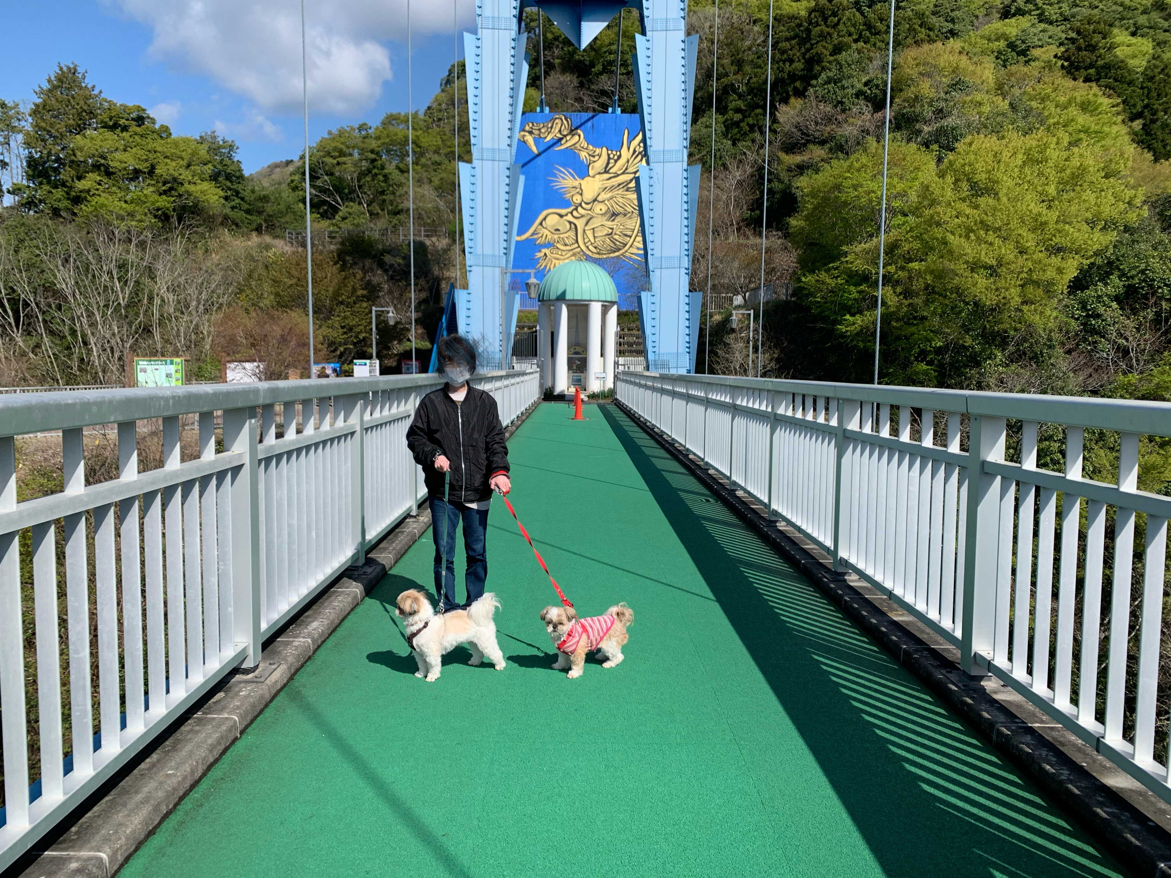 竜神 大 吊橋 犬