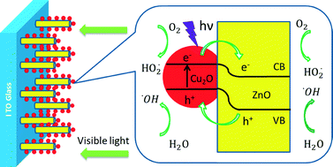 Synthesis of Cu2O/ZnO hetero-nanorod arrays with enhanced visible  light-driven photocatalytic activity - CrystEngComm (RSC Publishing)