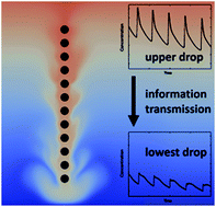 Information transmission by Marangoni-driven relaxation oscillations at  droplets - Soft Matter (RSC Publishing)