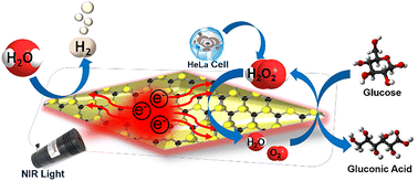 Anisotropic Au nanobypyramids with molybdenum disulfide for plasmon-enhanced electrocatalysis, biosensing and vitality manufacturing