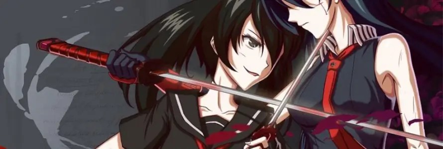 big cover Akame ga Kill