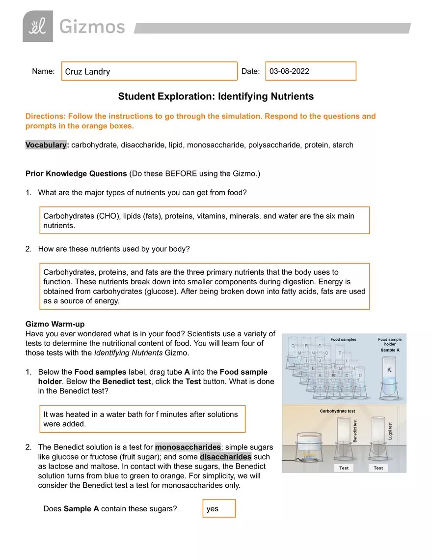Student Exploration Identifying Nutrients