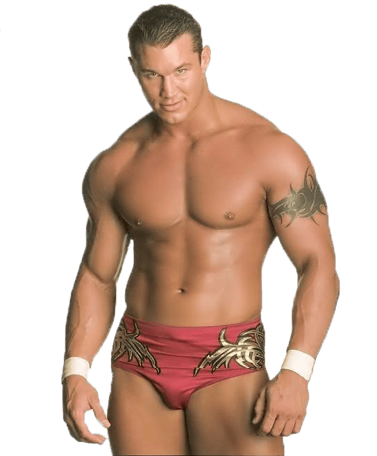 At What Point In His Career Did Wwe Wrestler Randy Orton Get His Arm Tattoos? - Quora 658_x_543_jpg