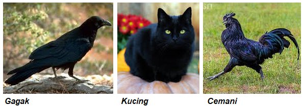 Mengapa Kucing Hitam, Burung Gagak, Dan Ayam Cemani Kerap Kali Dikaitkan Dengan Hal Mistis? - Quora 211_X_594_jpg