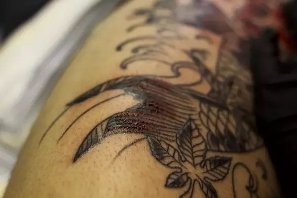Does Color Make A Tattoo More Expensive? - Quora 401_x_602_webp