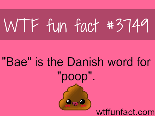 Apa yang dimaksud dengan &lsquo;bae&rsquo;? Apa artinya dan dari mana asal katanya? -  Quora