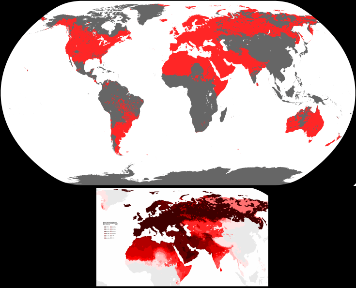 Apakah orang India kaukasoid atau australoid? - Quora