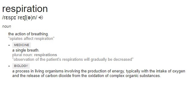 Apa itu respirasi? - Quora