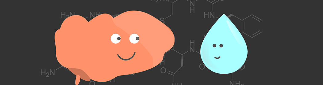 Mengapa/bagaimana air menghilangkan dahaga? - Quora