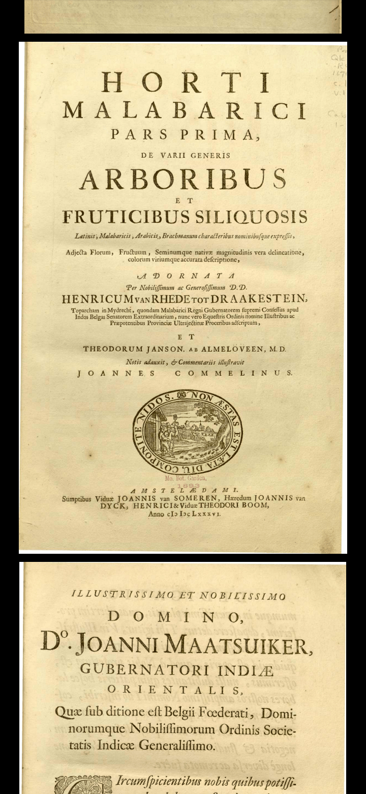 Riwayat sawo kecik dan guru laskar Diponegoro Menurut Hendrik Adriaan van  Rheede tot Drakenstein dari buku Hortus Indicus Malabaricus tahun 1683.  sawo kecik (manikara kauki) salah satu kode untuk para pengikut Diponegoro