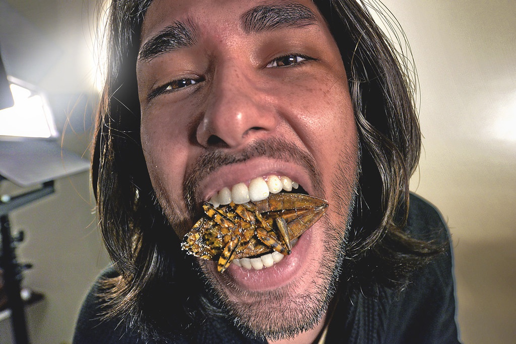 Qu&rsquo;est-ce que vous ne mangeriez pour rien au monde ? - Quora