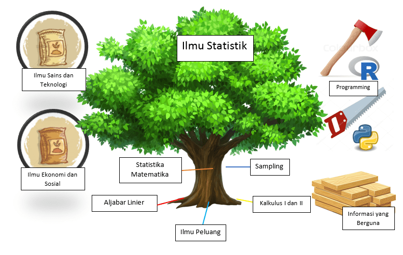 Apa saja yang dipelajari dalam ilmu statistika? - Quora