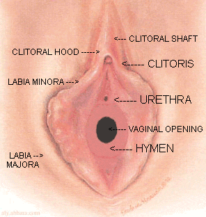 Bisakah mengetahui apakah seseorang masih perawan? - Quora