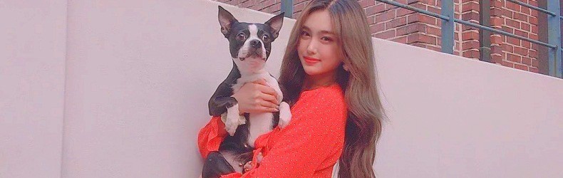 Apakah Anda belajar kata-kata Korea acak dari K-pop? - Quora