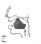 3 Contoh Waqaf Mu&rsquo;anaqah