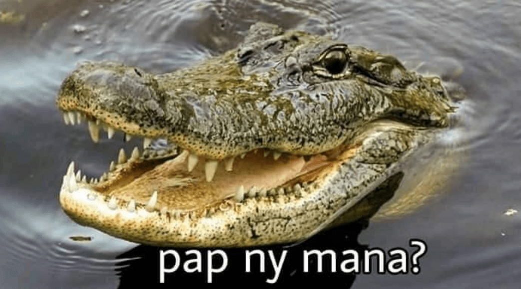 Apa perilaku seseorang yang bisa membuatmu hilang rasa (ilfeel) dalam  sekejap? - Quora