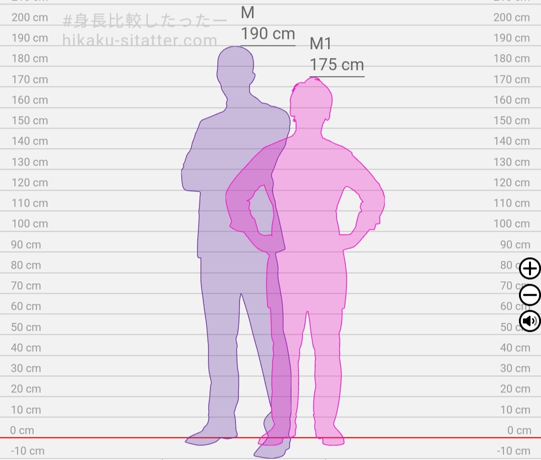 Bagaimana gambar perbedaan tinggi badan antara orang yang bertubuh 190 cm  dan 175 cm? - Quora