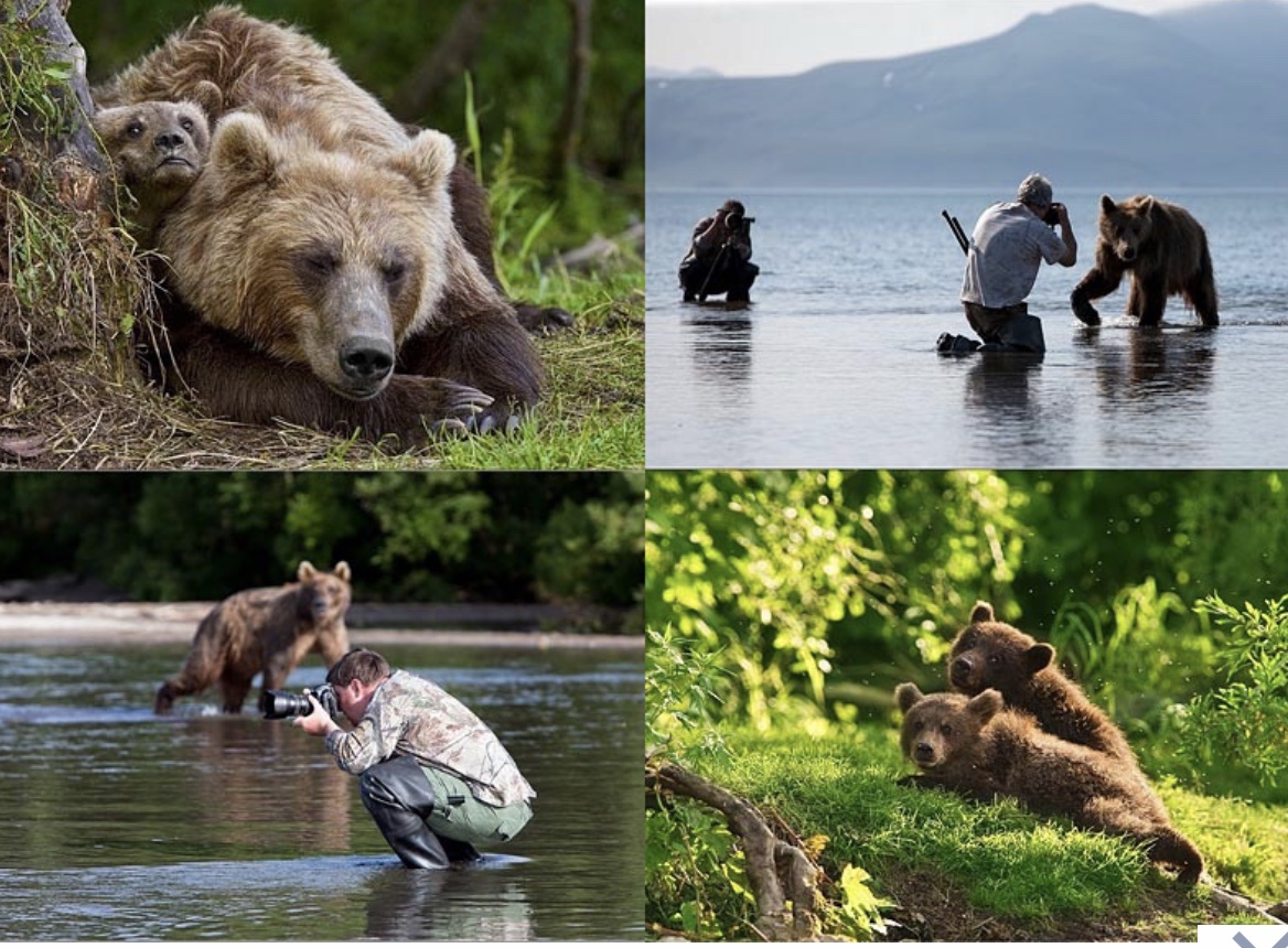 Apakah orang Rusia takut beruang? - Quora