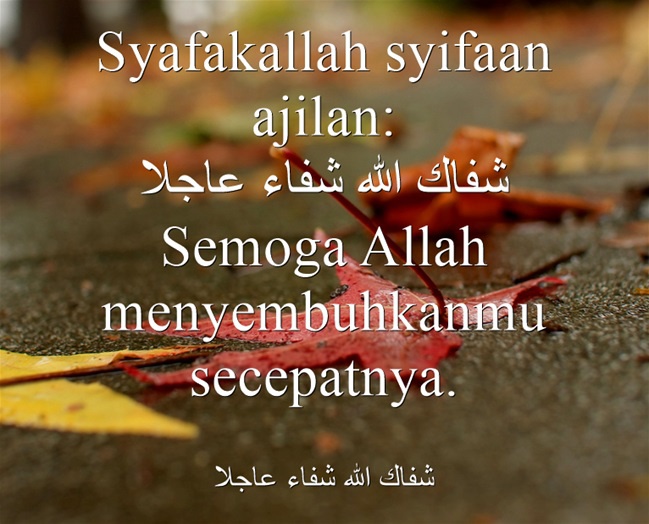 Apa arti &lsquo;Abu Hurairah&rsquo;? - Quora