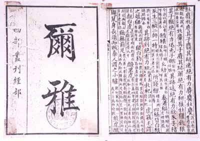 Apakah panda pernah tercatat dalam literatur Tiongkok kuno? - Quora