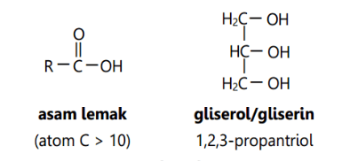 Apa saja unsur-unsur yang menyusun protein? - Quora