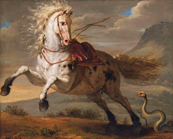 Apa saja hewan kehidupan nyata yang terlihat seperti berasal dari fantasi  atau mitologi? - Quora