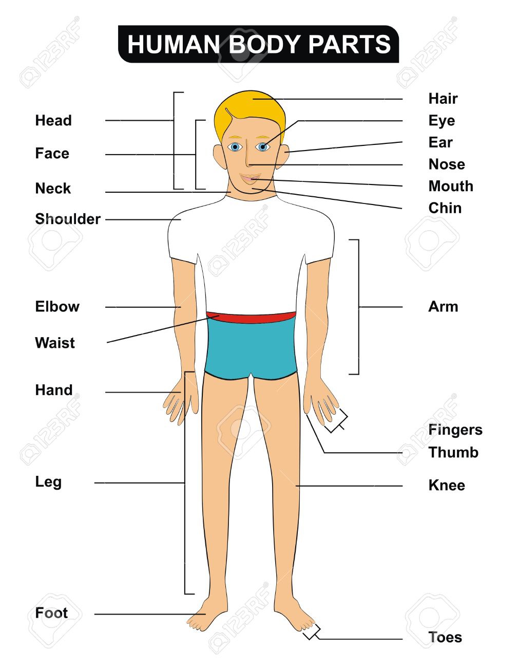 Apa arti dari &lsquo;kandha&rsquo; dalam bahasa Inggris? - Quora